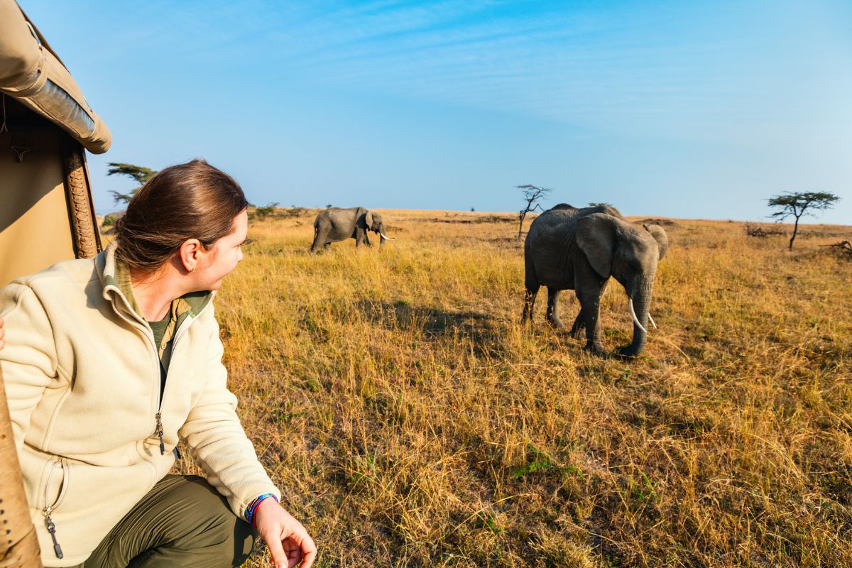 Mulher em safári guiado na África
