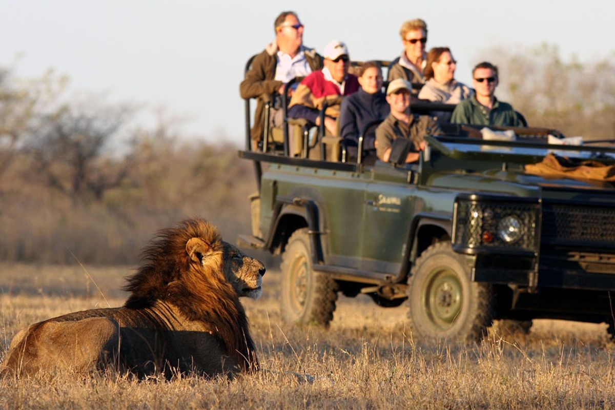 Safári em reserva privada no Kruger Park, África do Sul