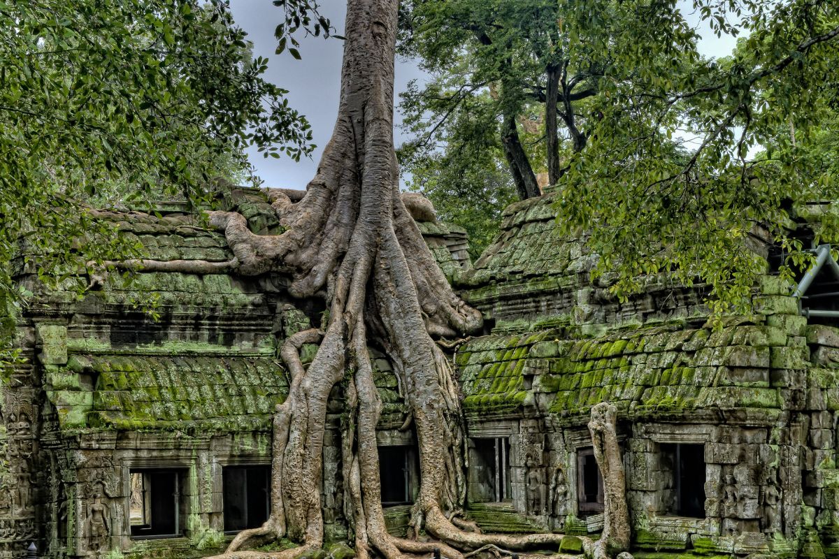 Templo de Ta Prohm, no Angkor Archaeological Park