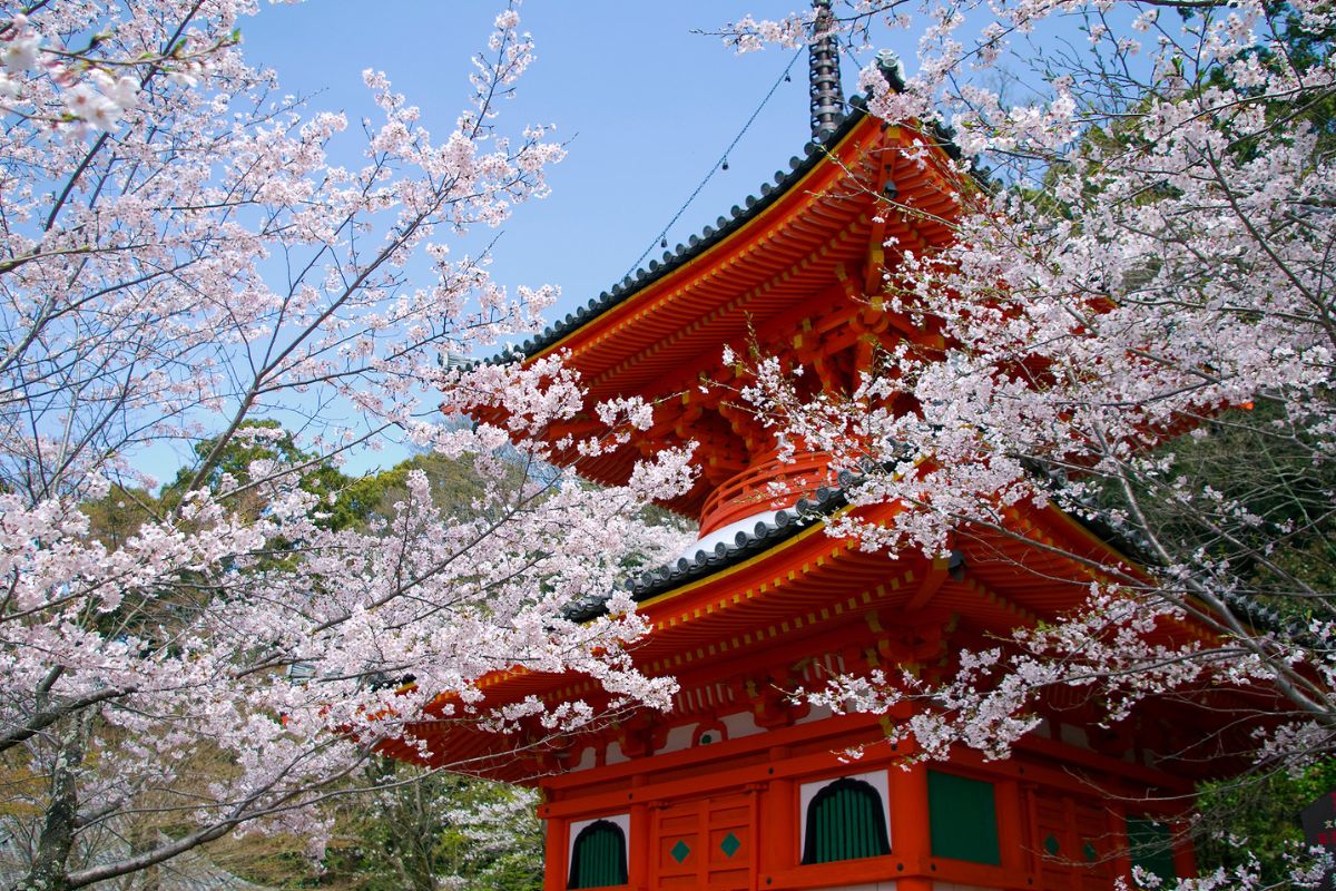 Templo Kimii dera na primavera, em Wakayama
