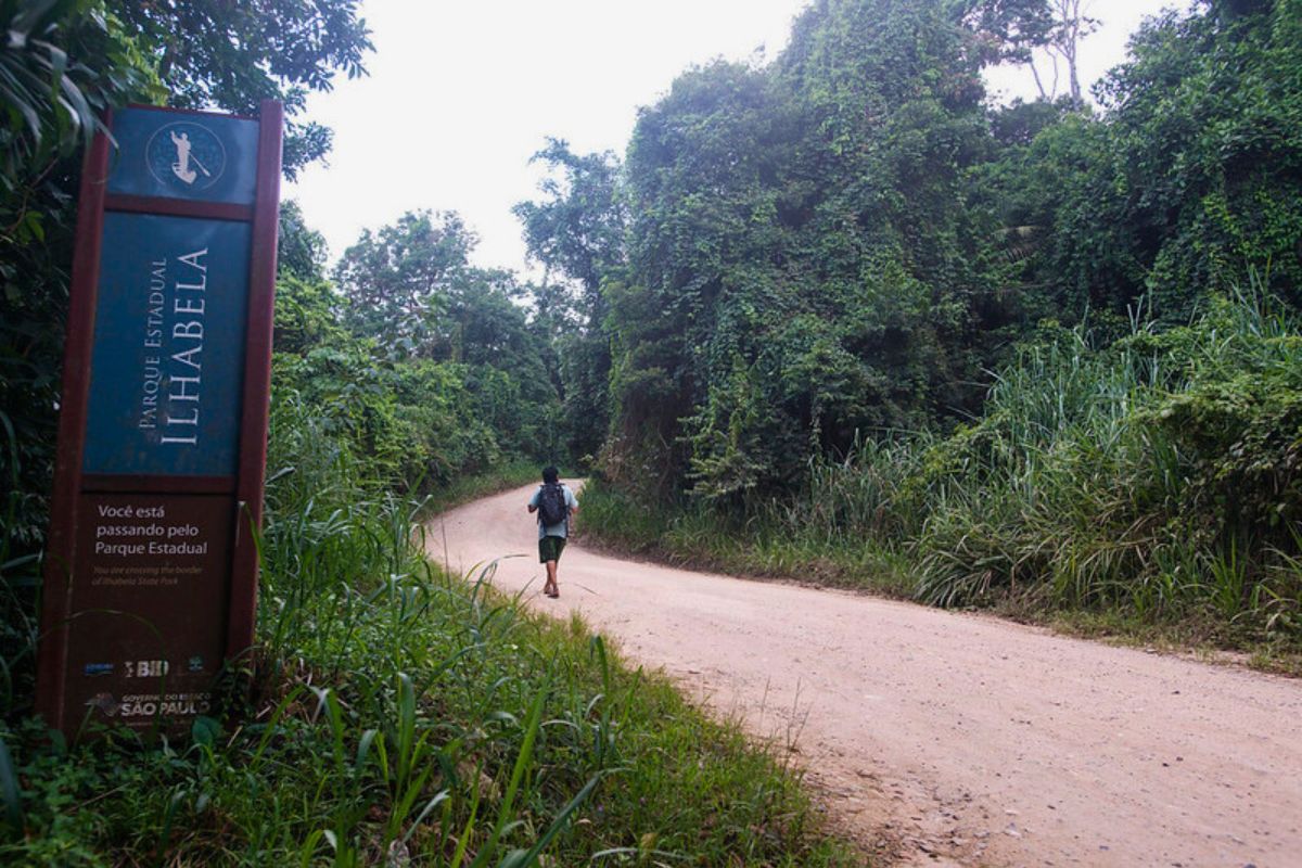 Homem caminhando em trilha de areia do Parque Estadual de Ilhabela com Mata Atlântica preservada ao redor