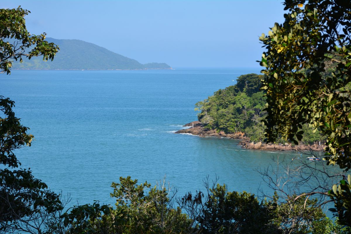 Baía de Ubatuba com mar calmo e cercada pela Mata Atlântica 