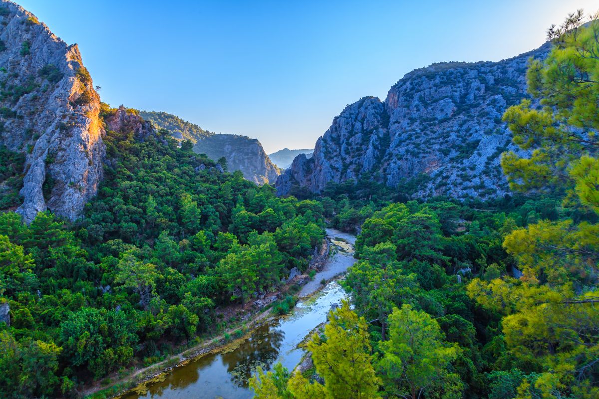 Curso de um rio cercado por um bosque e por montanhas altas e rochosas