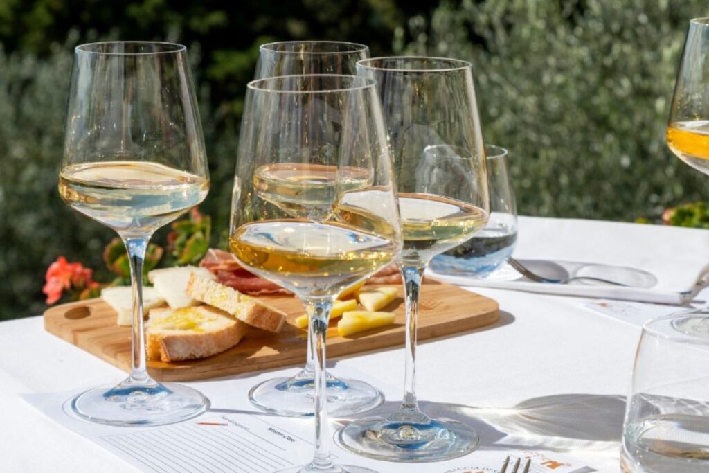 Degustação do vinho Vernaccia