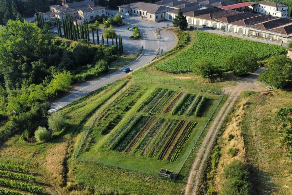 Vista aérea da vinícola Ricasoli, em Chianti
