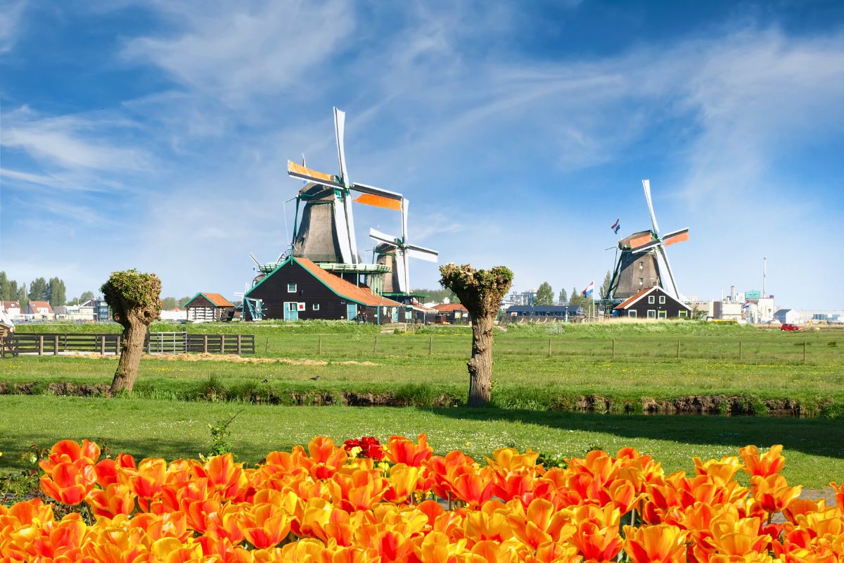 Moinhos de ventos históricos de Zaanse Schans